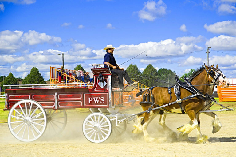 Aaron Goodvin, The Washboard Union to headline 2022 Paris Fair