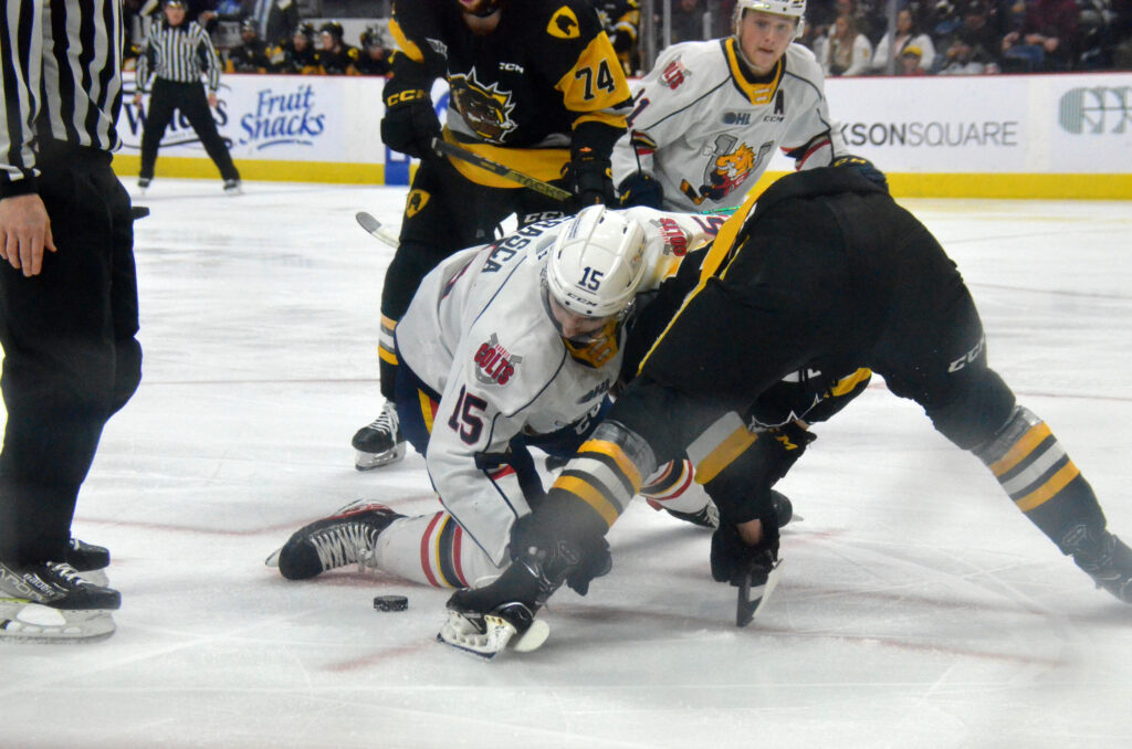 Hamilton Bulldogs open OHL playoffs Thursday against Barrie